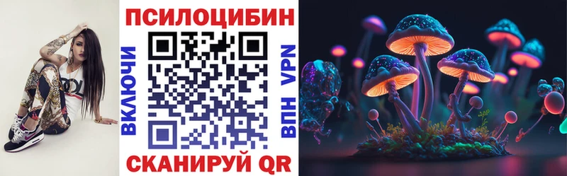 Псилоцибиновые грибы прущие грибы  купить наркоту  Грозный 