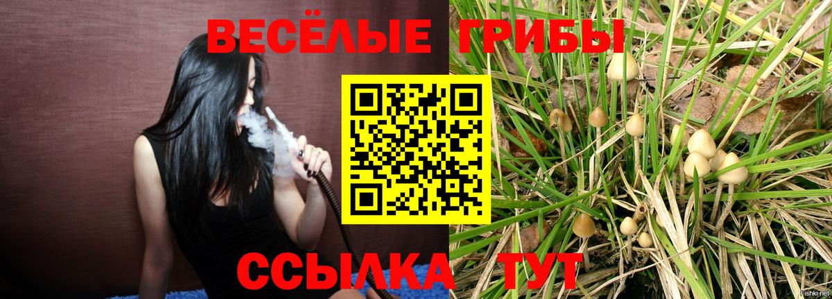 Грозный  Псилоцибиновые грибы мицелий  Галлюциногенные грибы мухоморы  Вход с VPN 